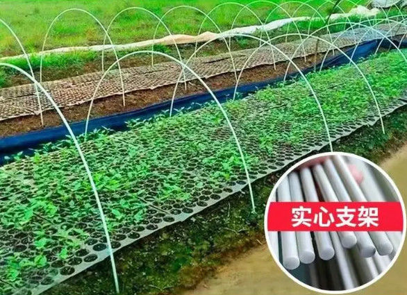 গ্রিন হাউস রোপণের জন্য 10 মিমি ফাইবার রিইনফোর্সড প্লাস্টিক রড নমনীয় ফাইবারগ্লাস রড